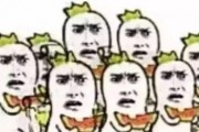 吃瓜群众专栏